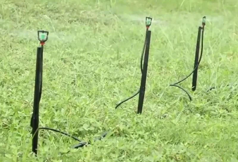 Drip Sprinkler for Lawn Lawn Sprinkler Irrigation on Spike