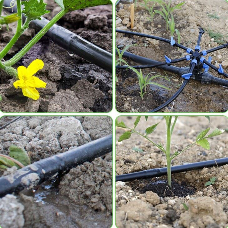 HDPE Drip Irrigation Pipe Line Kits For Papaya Irrigation System