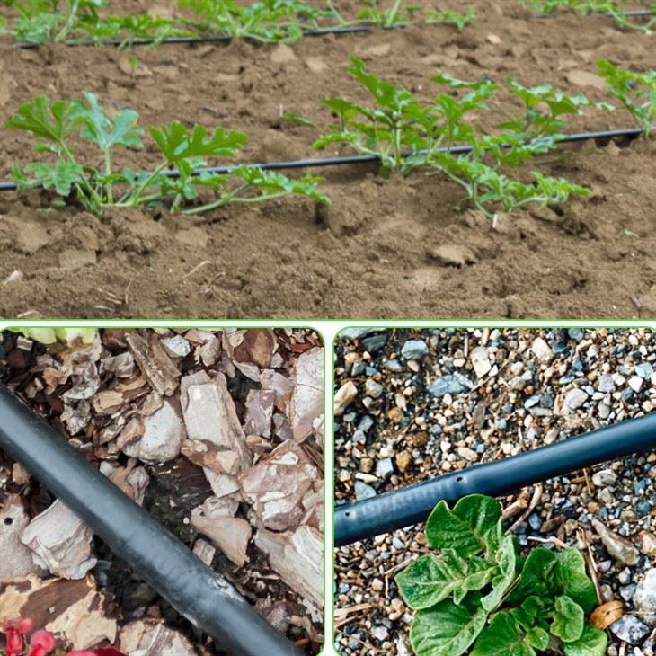 HDPE Drip Irrigation Pipe Line Kits For Papaya Irrigation System