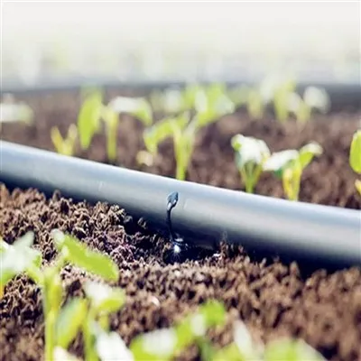 খামার সেচ ব্যবস্থা 16 মিমি ড্রিপ টেপ