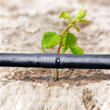 পেঁপে সেচ ব্যবস্থার জন্য HDPE ড্রিপ ইরিগেশন পাইপ লাইন কিট